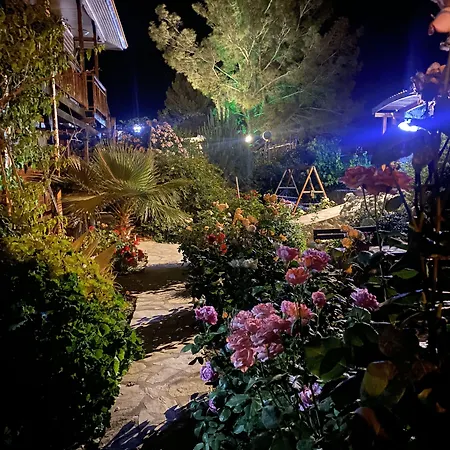 7 Boutique فندق